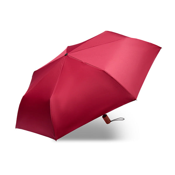 The Bridge Ombrello compatto elegante OMBRELLI Bordeaux