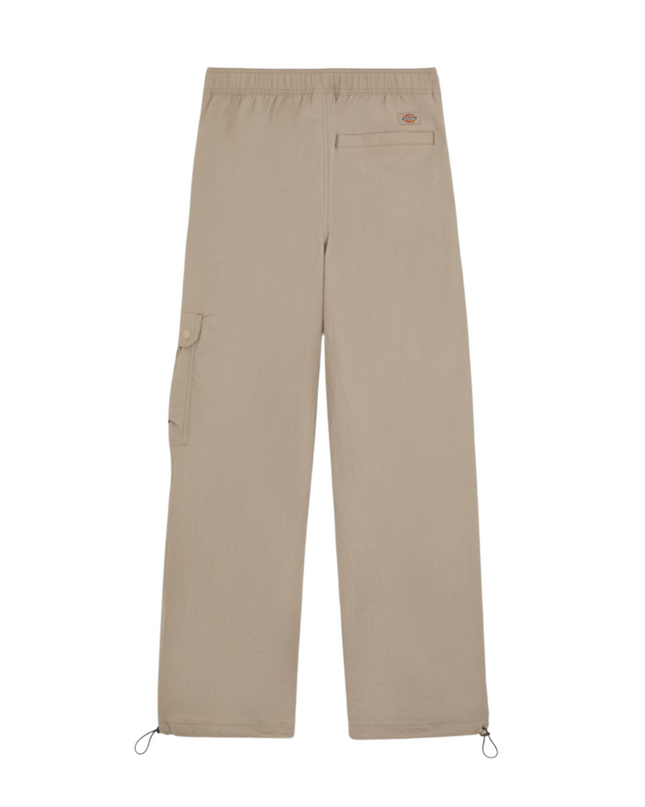 Dickies pantalone cargo jackson
