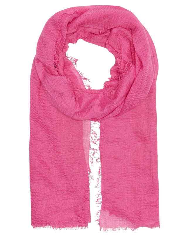 Only pashmina donna
