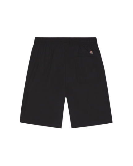 Dickies shorts cargo jackson