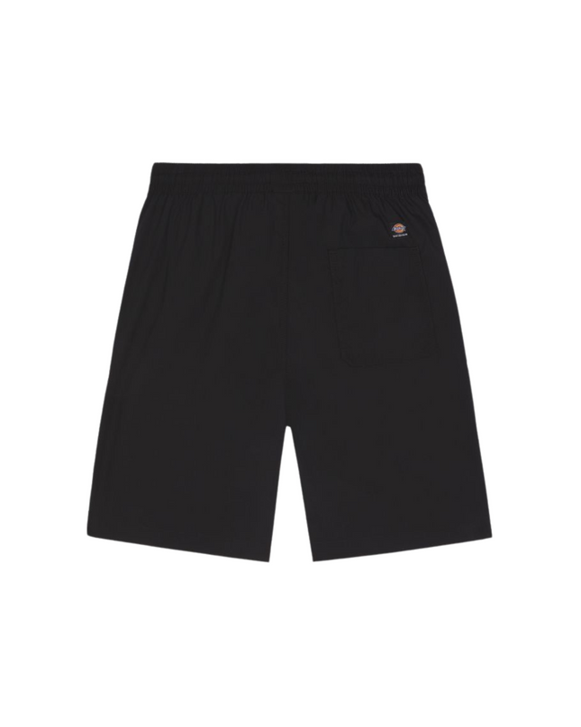 Dickies shorts cargo jackson