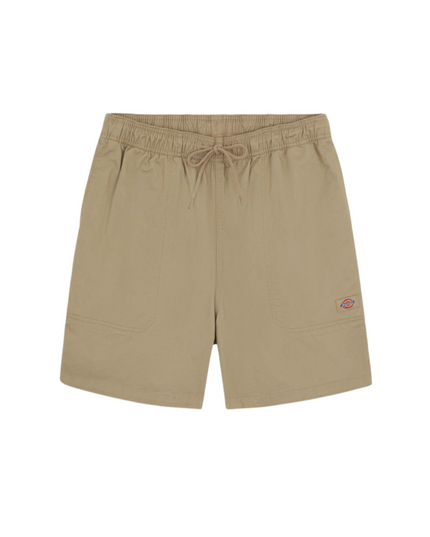 Dickies shorts pelican rapids