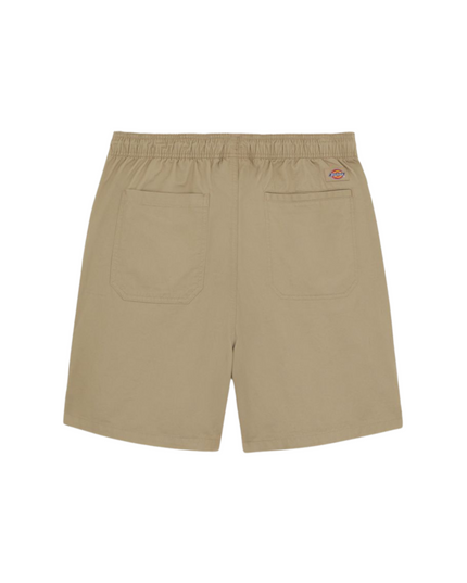 Dickies shorts pelican rapids