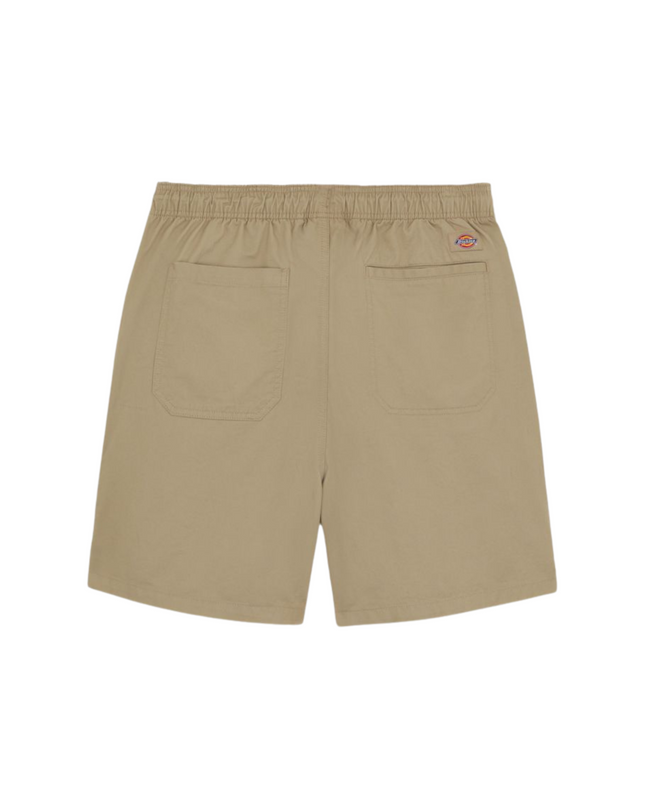 Dickies shorts pelican rapids