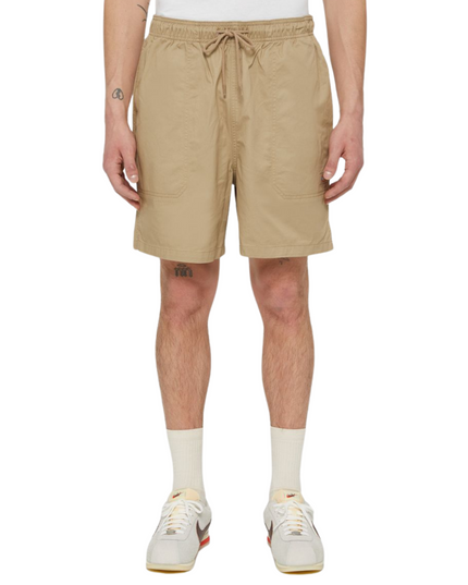 Dickies shorts pelican rapids