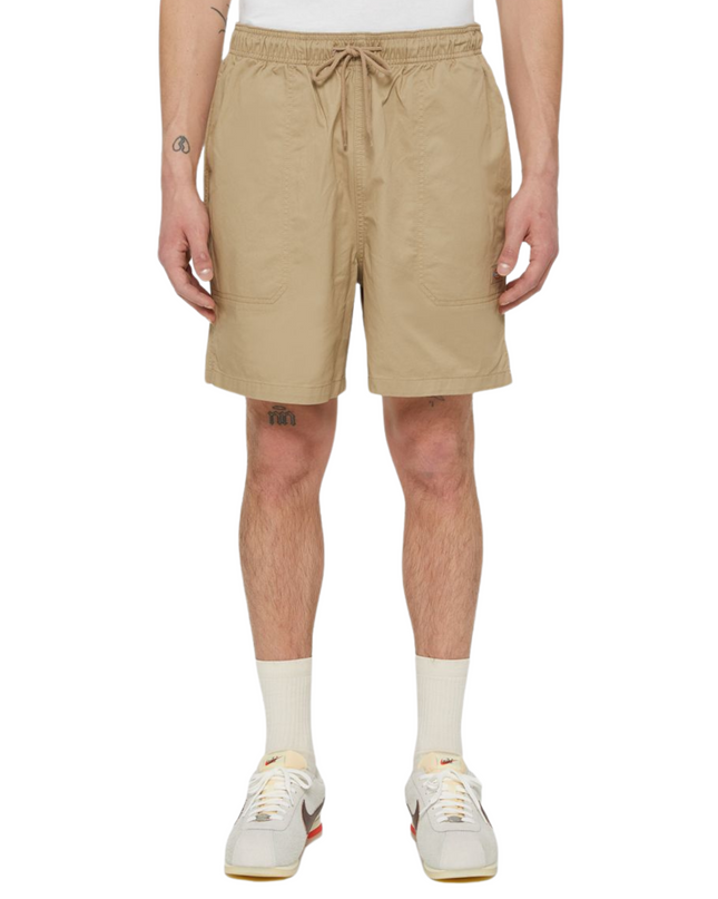 Dickies shorts pelican rapids