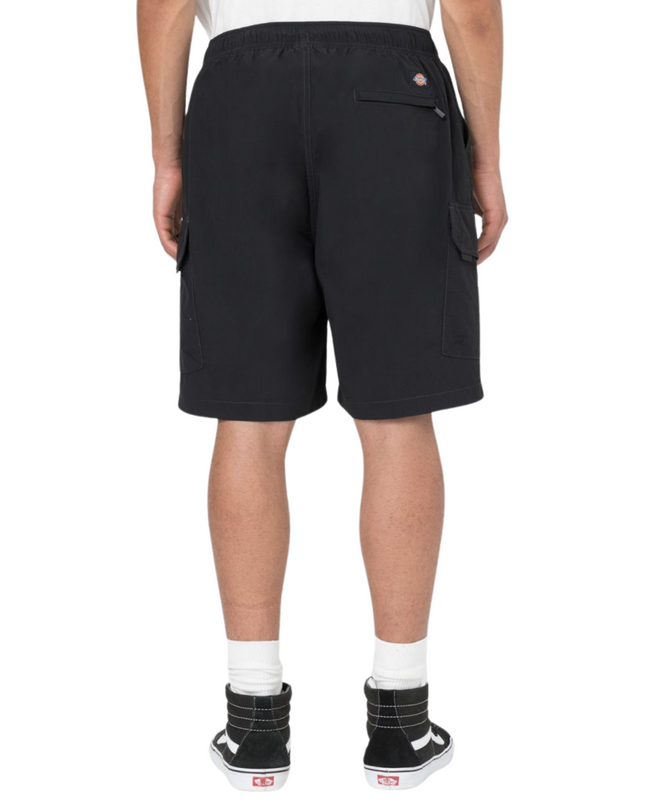 Dickies shorts cargo jackson