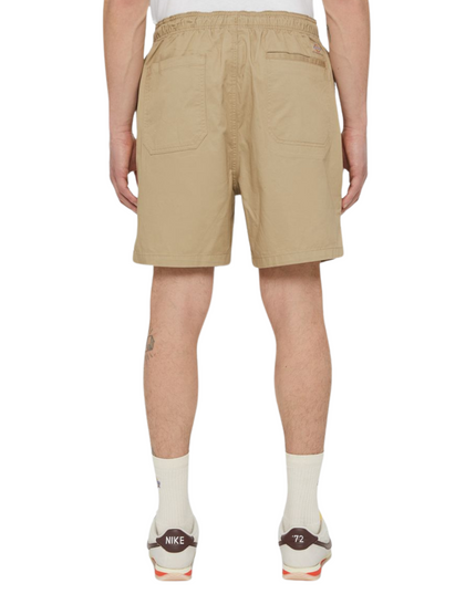 Dickies shorts pelican rapids