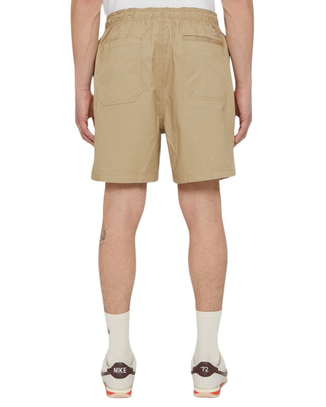 Dickies shorts pelican rapids