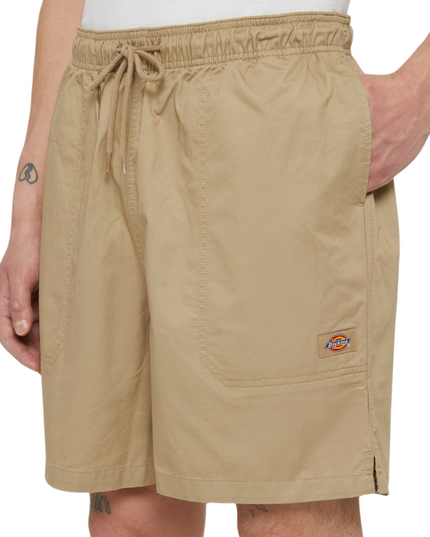 Dickies shorts pelican rapids