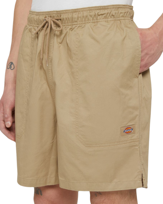 Dickies shorts pelican rapids
