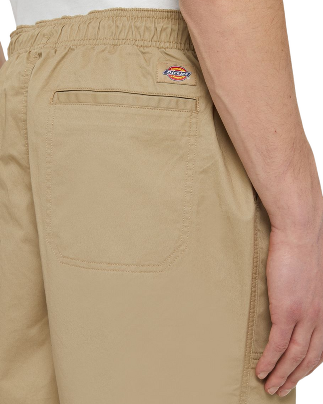 Dickies shorts pelican rapids