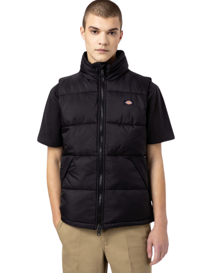 DICKIES Gilet Waldenburg