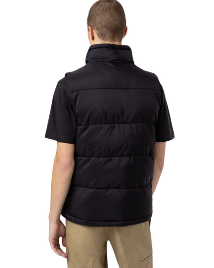 DICKIES Gilet Waldenburg