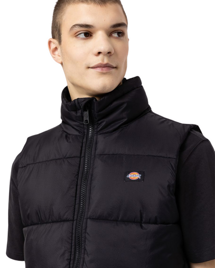 DICKIES Gilet Waldenburg