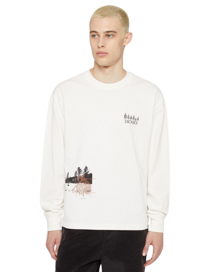 Dickies t-shirt uomo kenbridge