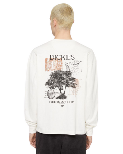 Dickies t-shirt uomo kenbridge
