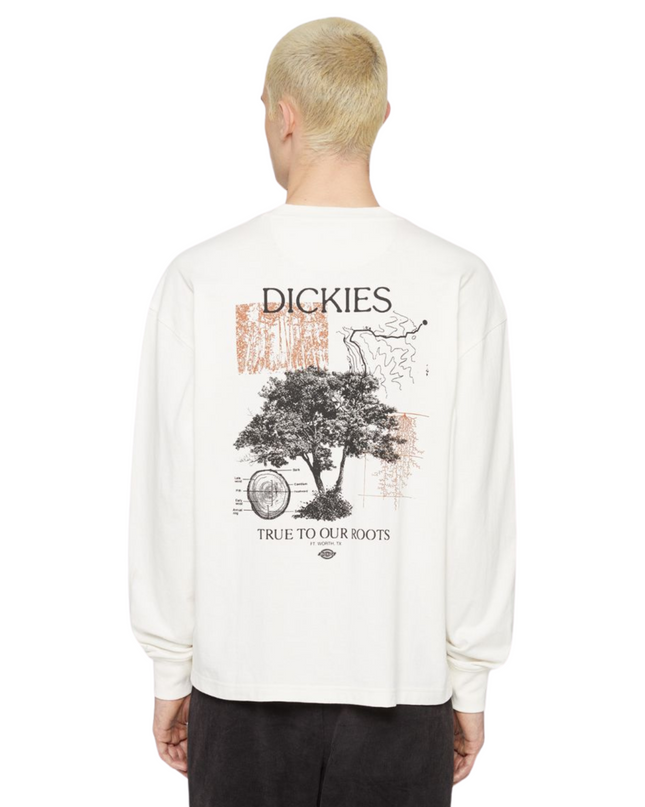 Dickies t-shirt uomo kenbridge
