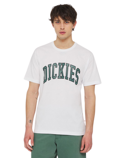 Dickies t-shirt aitkin uomo