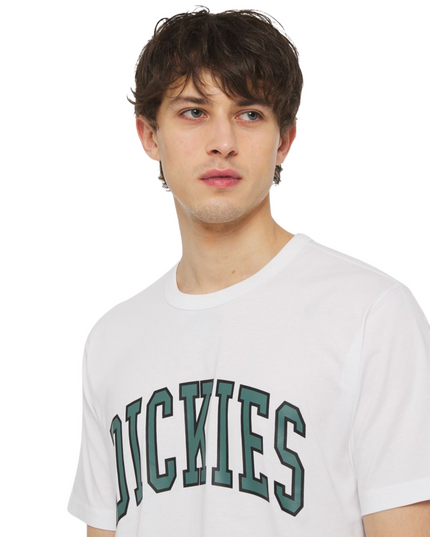 Dickies t-shirt aitkin uomo