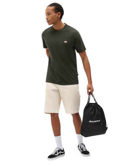 DICKIES T-shirt uomo Mapleton