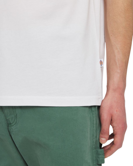 Dickies t-shirt aitkin uomo