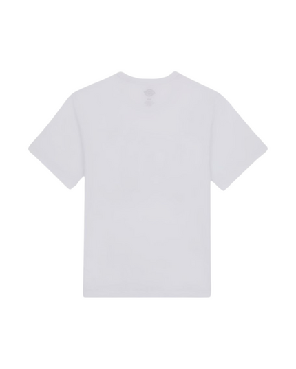 Dickies t-shirt aitkin uomo