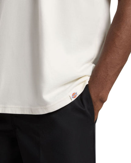 T-shirt uomo DICKIES LEWISTOWN