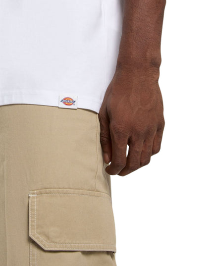 T-shirt uomo DICKIES SNAKE