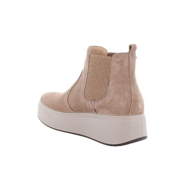 Igi&co stivaletti chelsea platform in camoscio beige