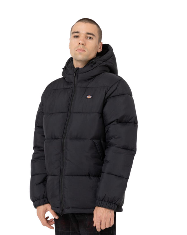 Dickies piumino uomo