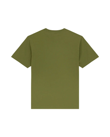 Dickies T-shirt Mapleton Uomo Verde