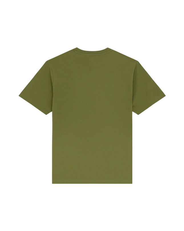 Dickies T-shirt Mapleton Uomo Verde