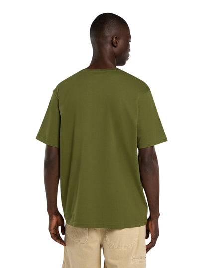 Dickies T-shirt Mapleton Uomo Verde