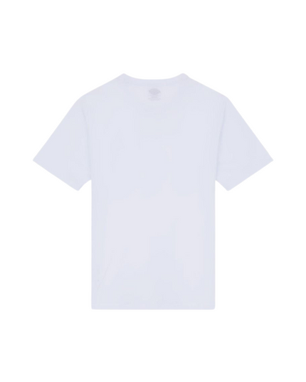 Dickies T-shirt Mapleton Uomo Bianco