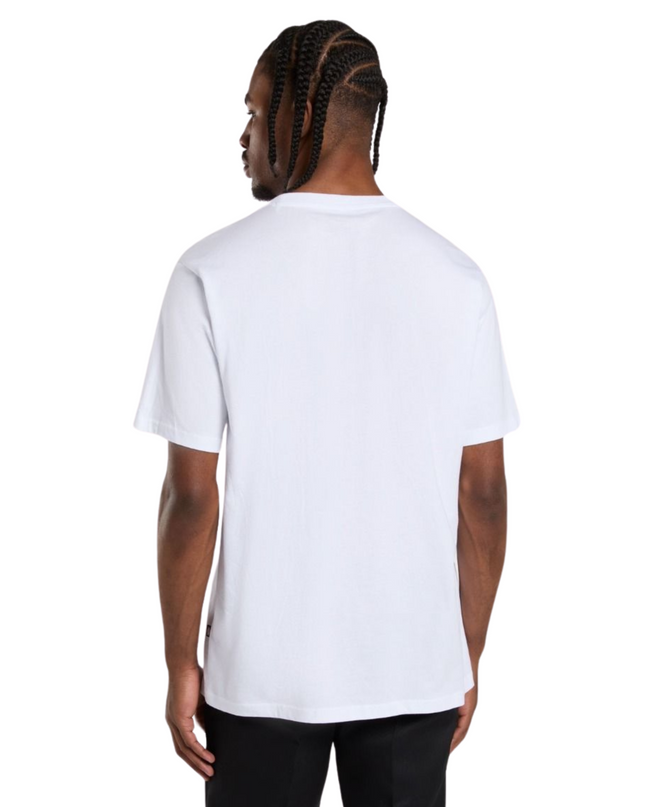 Dickies T-shirt Mapleton Uomo Bianco
