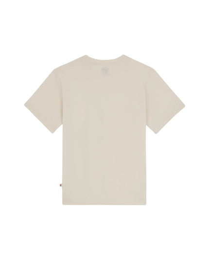 Dickies T-shirt Mapleton Uomo Beige