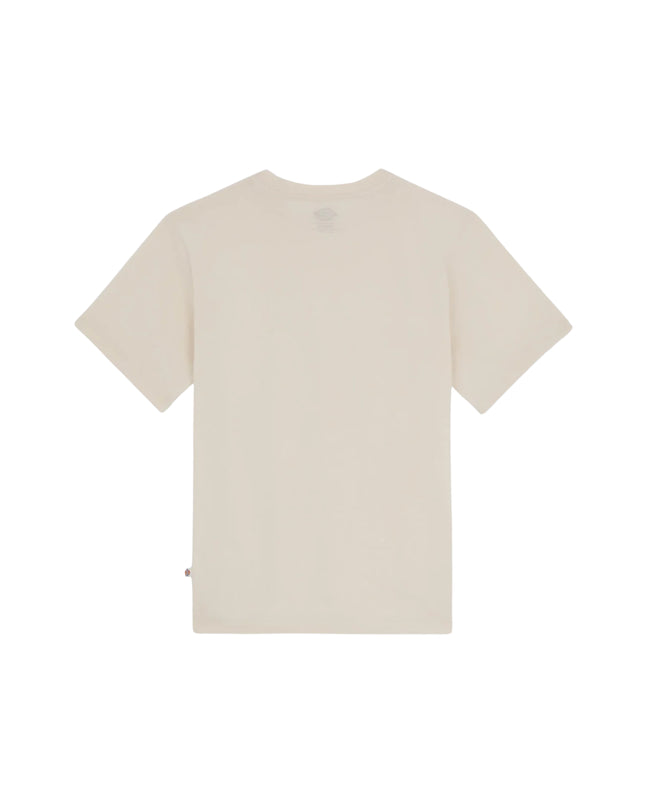 Dickies T-shirt Mapleton Uomo Beige