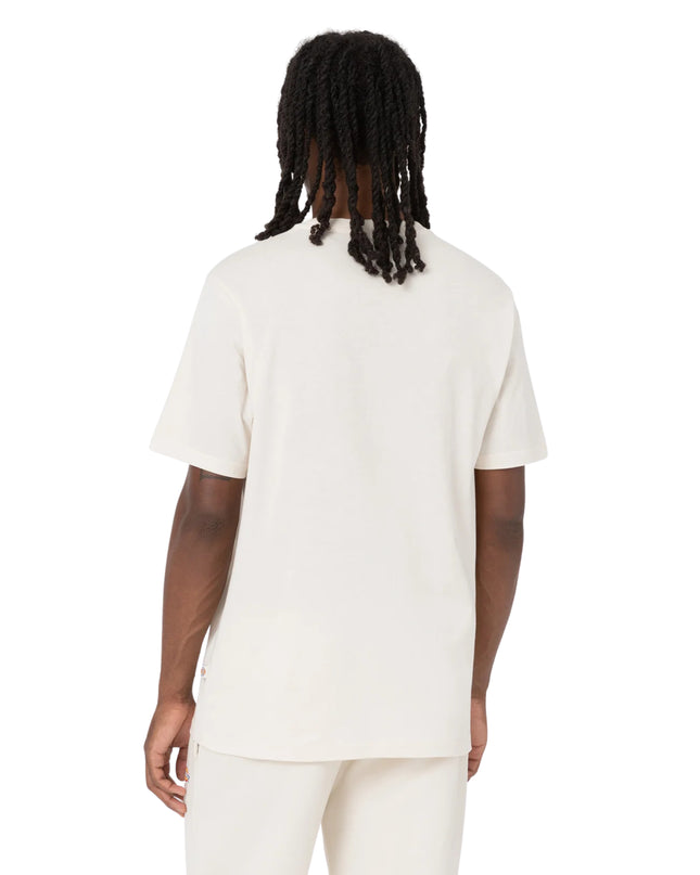 Dickies T-shirt Mapleton Uomo Beige
