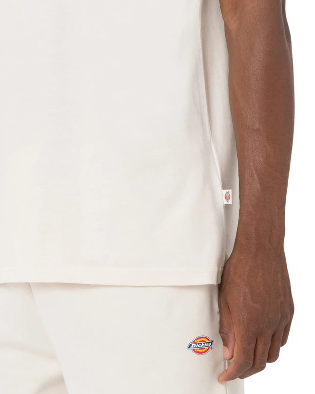 Dickies T-shirt Mapleton Uomo Beige