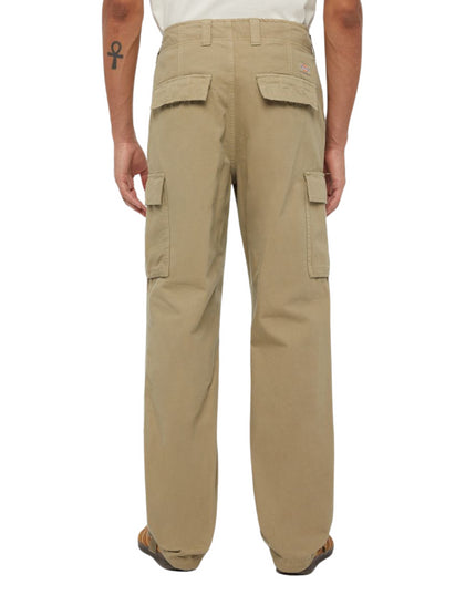 DICKIES Pantaloni Cargo Johnson