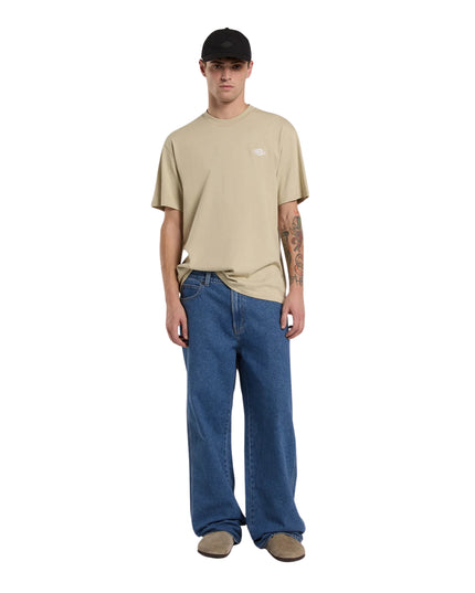 Dickies T-shirt Summerdale Uomo Beige