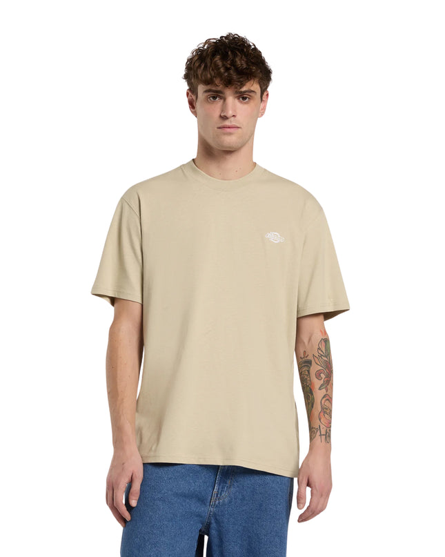 Dickies T-shirt Summerdale Uomo Beige