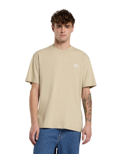 Dickies T-shirt Summerdale Uomo Beige