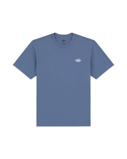 Dickies T-shirt Summerdale Uomo Blu