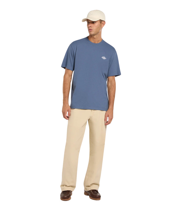 Dickies T-shirt Summerdale Uomo Blu