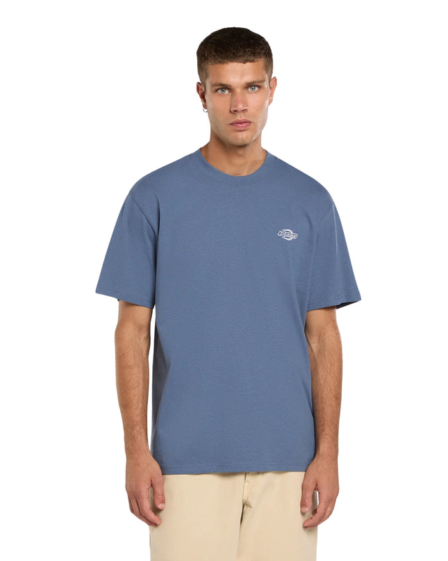 Dickies T-shirt Summerdale Uomo Blu