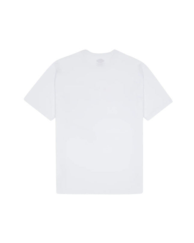 Dickies T-shirt Summerdale Uomo Bianco