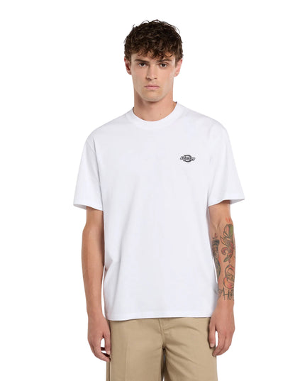 Dickies T-shirt Summerdale Uomo Bianco