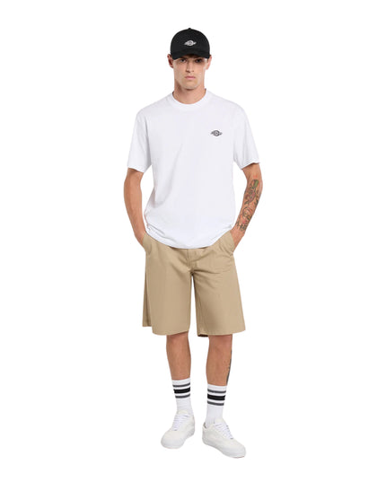 Dickies T-shirt Summerdale Uomo Bianco